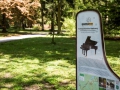info-tafel-steinwaytrail1